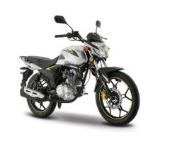 Motocicleta De Trabajo Italika FT150 GTS Gris