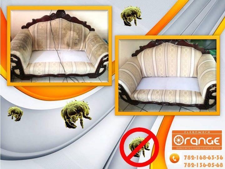 10015 cleanwork orange poza rica