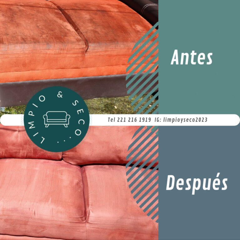 10030 limpio y seco tlaxcala 768x768