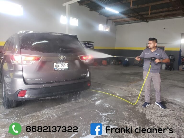 10037 franki cleaners 768x576