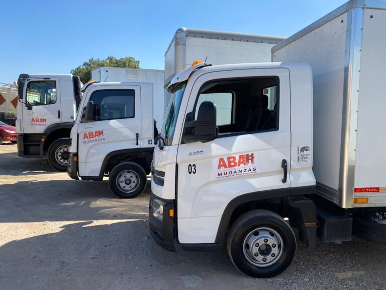 10059 abah mudanzas en aguascalientes oficinas 768x576