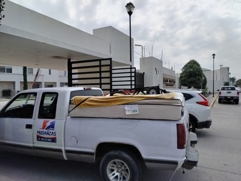 10061 mudanzas y fletes sapien en aguascalientes 768x576