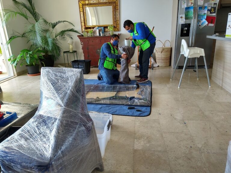 10095 mudanzas de san jose 768x576