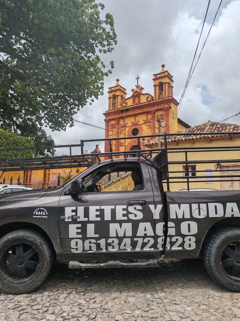 10099 fletes y mudanzas 8220el mago8221 768x1024