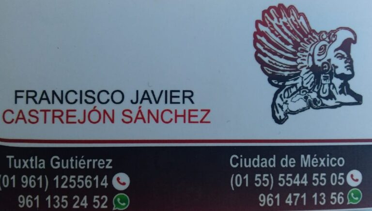 10103 transportes y mudanzas mega fletes tuxtla 768x436