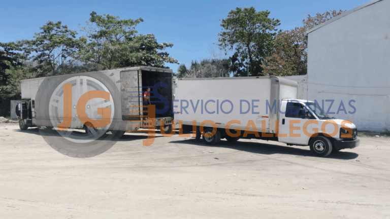 10105 servicio de mudanza julio gallegos 768x432