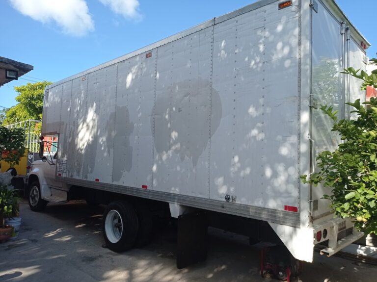 10109 fletes y mudanzas miguel dorantes 768x575