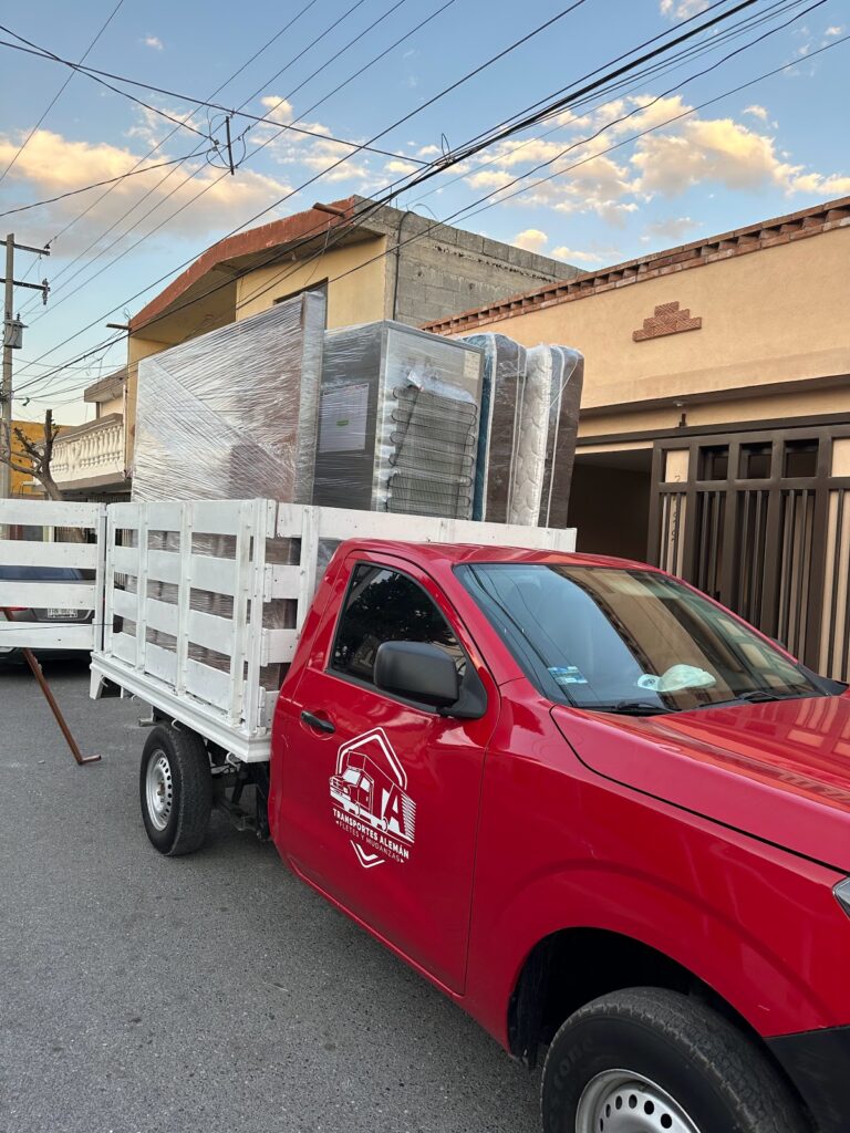 10134 mudanzas aleman saltillo 768x1024