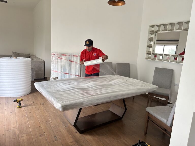 10140 fletes y mudanzas ecoflet 768x576