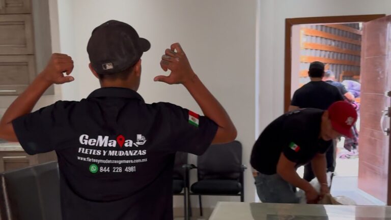 10144 gemava fletes y mudanzas 768x433