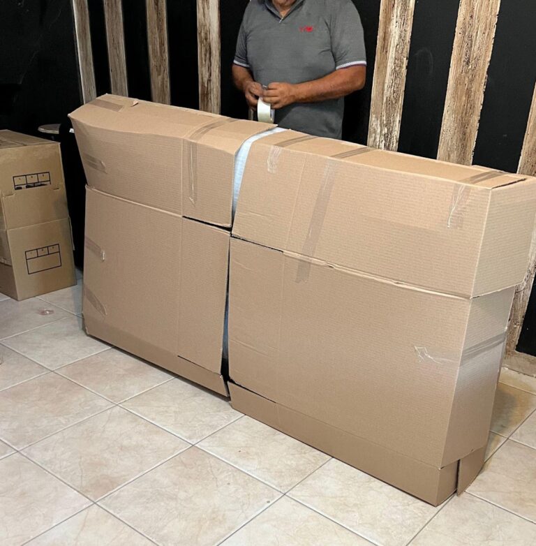 10151 mudanzas move go torreon 768x782