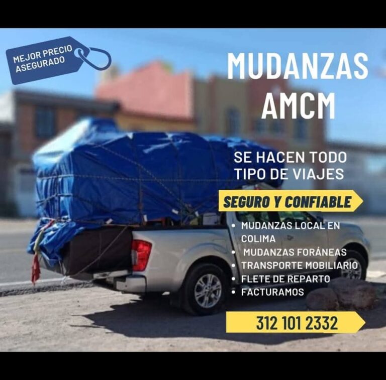 10154 fletes y mudanzas amcm 768x757
