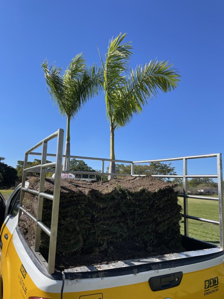 10158 mudanzas y fletes colima suc. villa de alvarez 768x1024