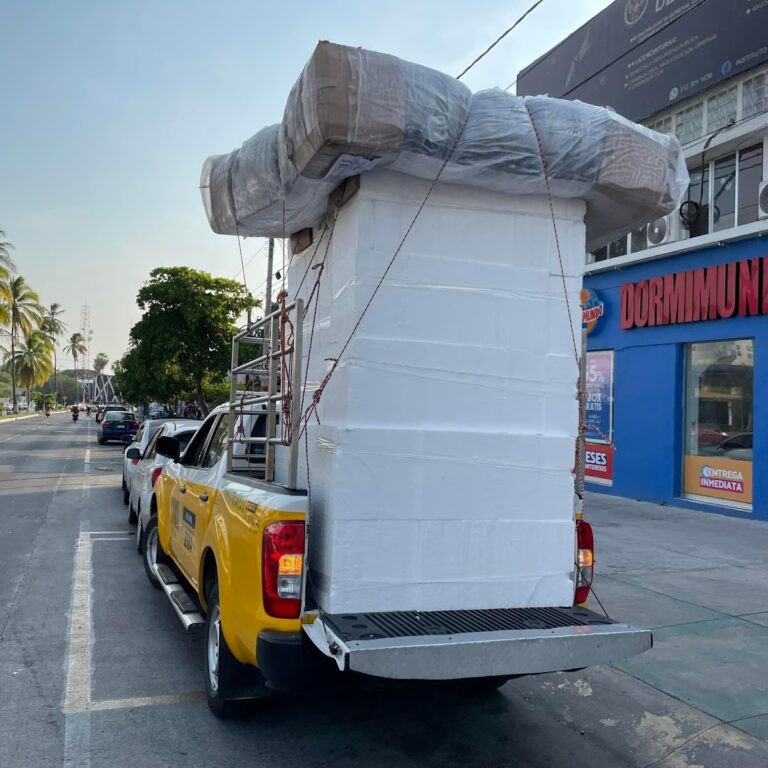 10160 mudanzas y fletes colima 768x768