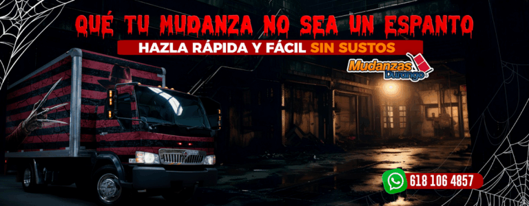 10173 mudanzas durango 768x300