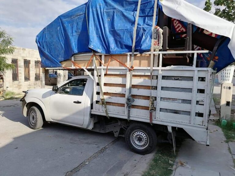 10175 fletes laguna 768x576