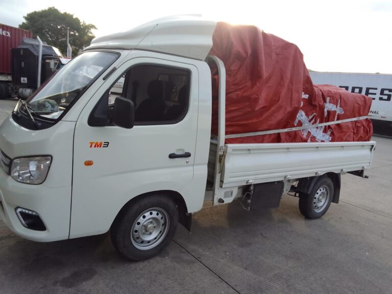 10181 mandana transporte paqueteria almacenaje fletes contenedores y logistica manzanillo 768x576