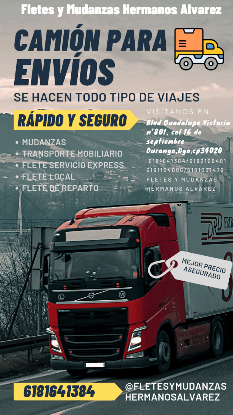 10185 fletes y mudanzas hermanos alvarez 768x1365