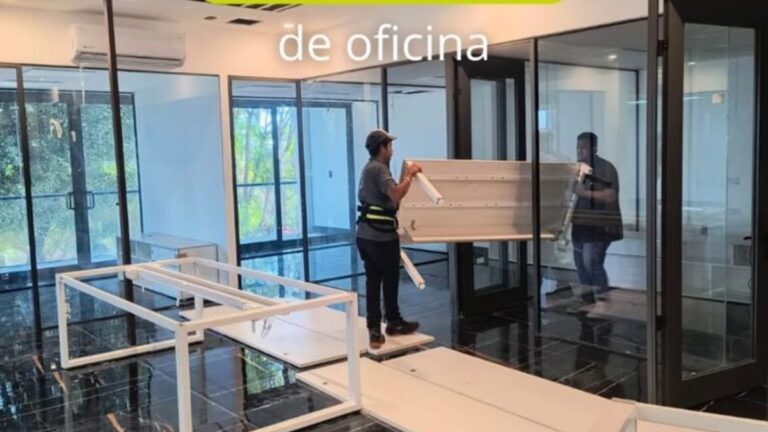 10217 fletes y mudanzas leon 768x432