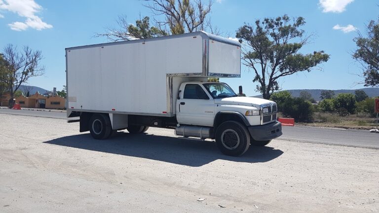 10235 fletes y mudanzas madero 768x432