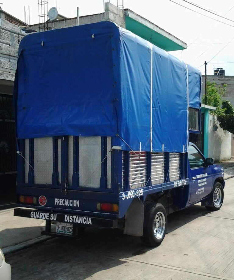 10237 fletes y mudanzas badillo 768x918