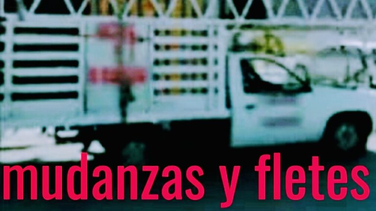 10239 fletes y mudanzas guadalajara 768x431