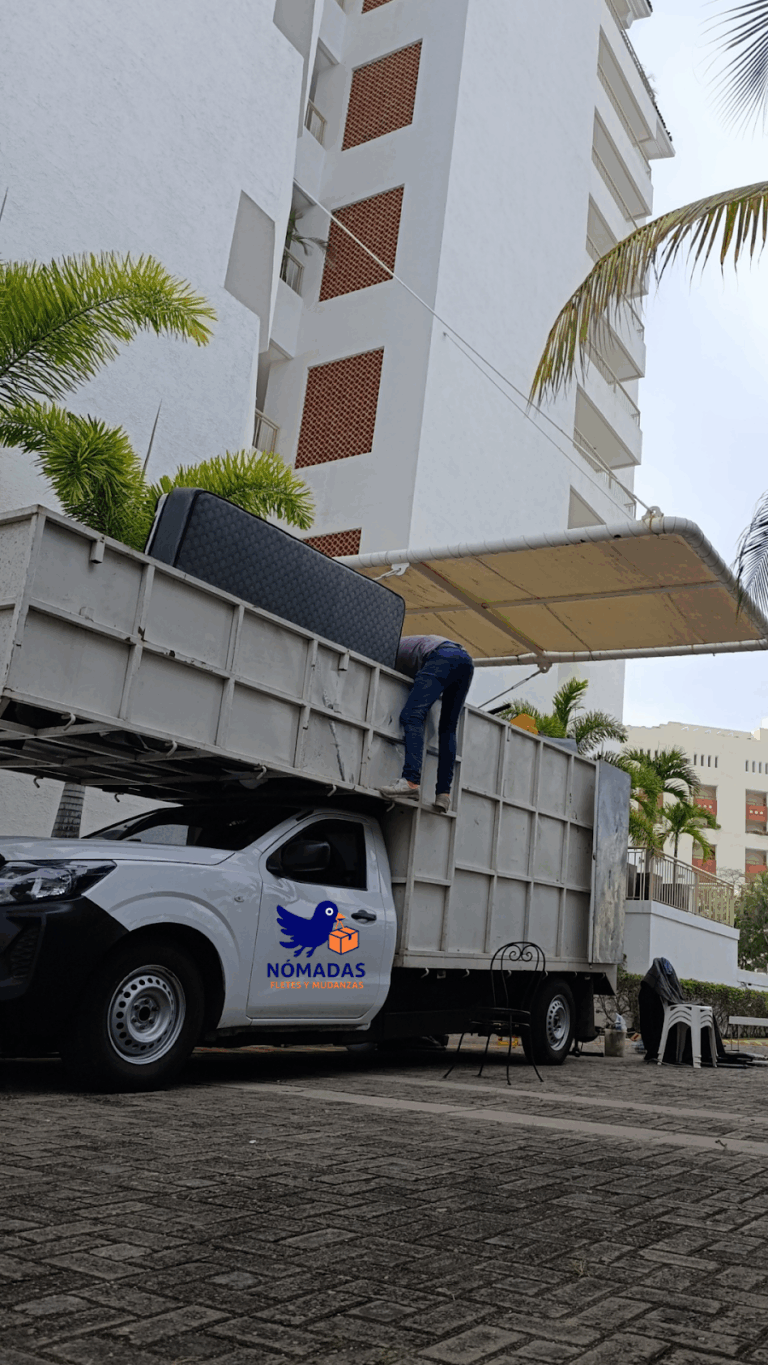 10251 nomadas fletes y mudanzas 768x1365