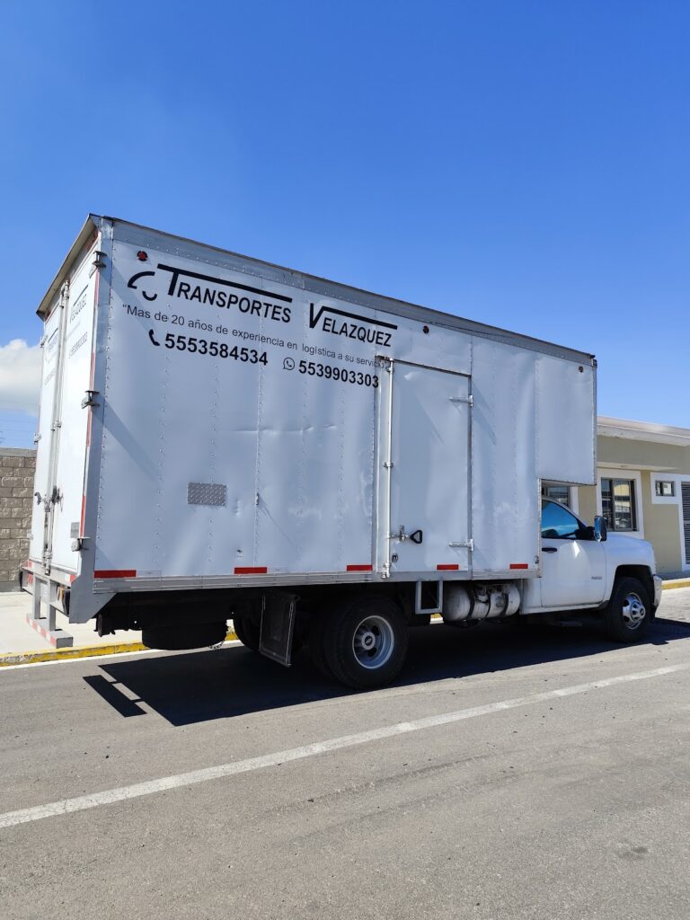 10273 fletes y mudanzas velazquez 768x1024