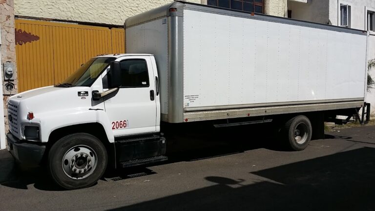 10287 fletes y mudanzas en guadalajara baratos economicos nacionales en camion rabon camionetas 3.5 toneladas 768x432