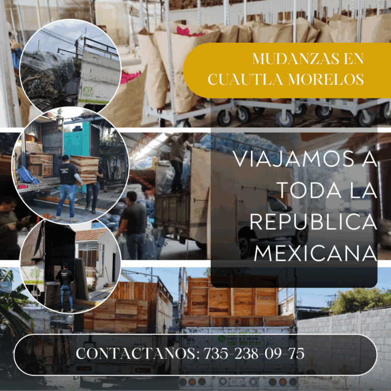 10306 fletes y mudanzas andu 768x768