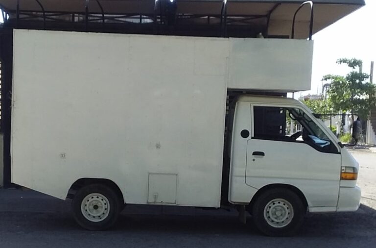 10318 fletes y mudanzas salvatore 768x506