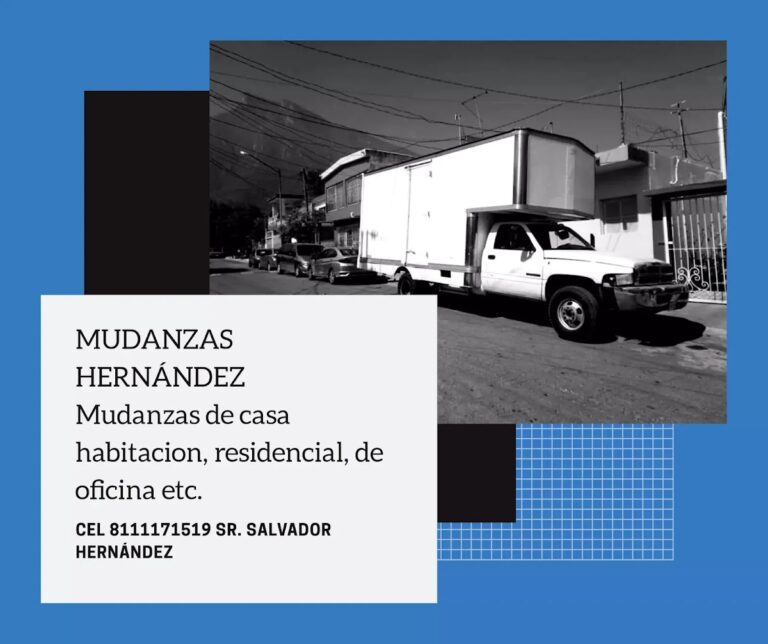10346 mudanzas y fletes hernandez jr 768x644