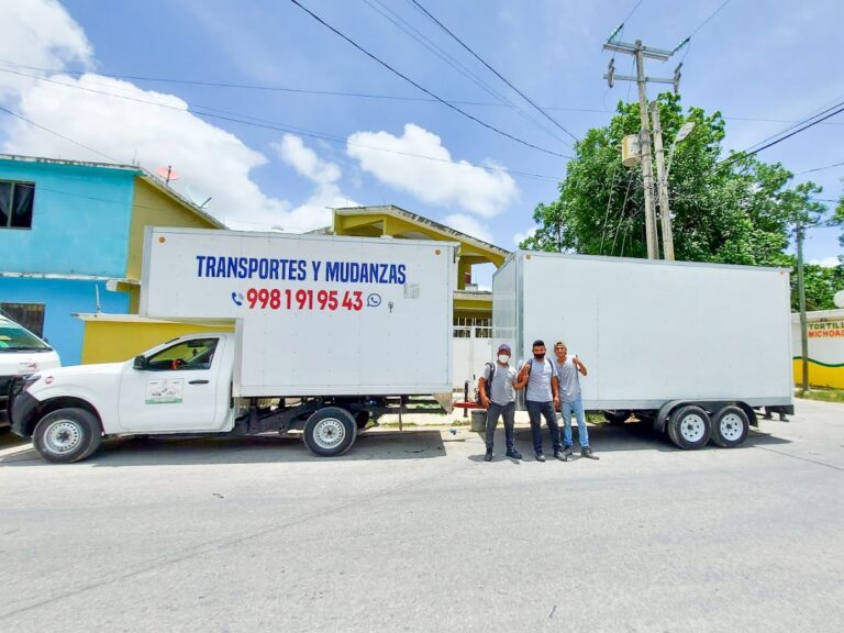 10393 mudanzas y fletes torres 768x576