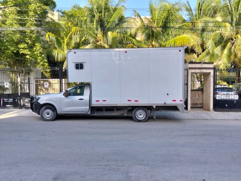 10411 fletes y mudanzas mayatulum 768x578