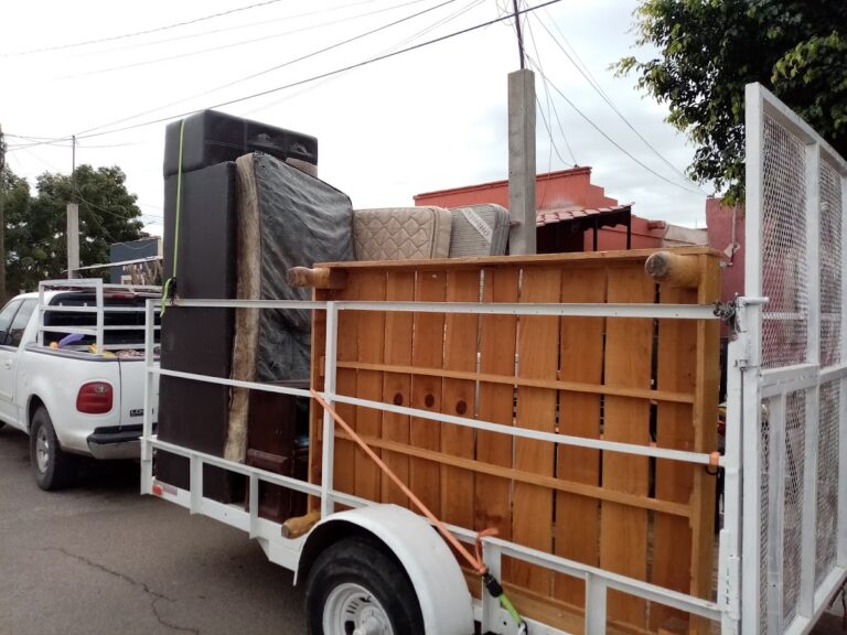 10455 fletes y mudanzas amavizca 768x576