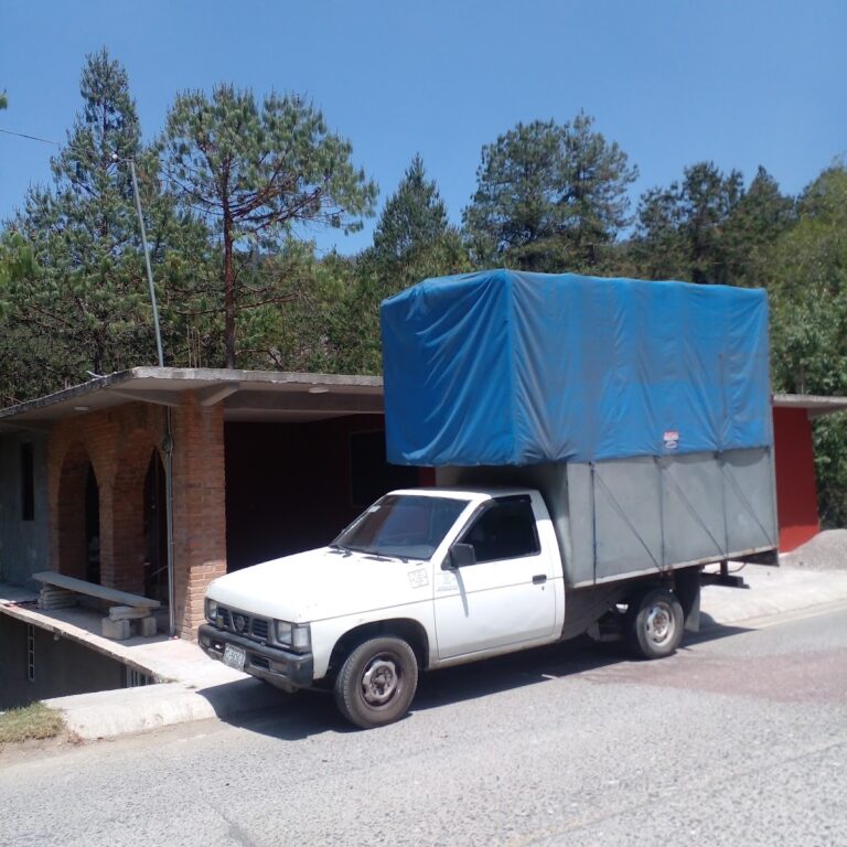 10508 fletes economicos orizaba 768x768