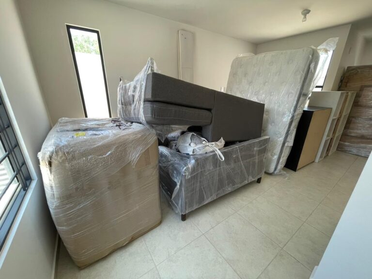 10516 fletes y mudanzas de zacatecas 768x576