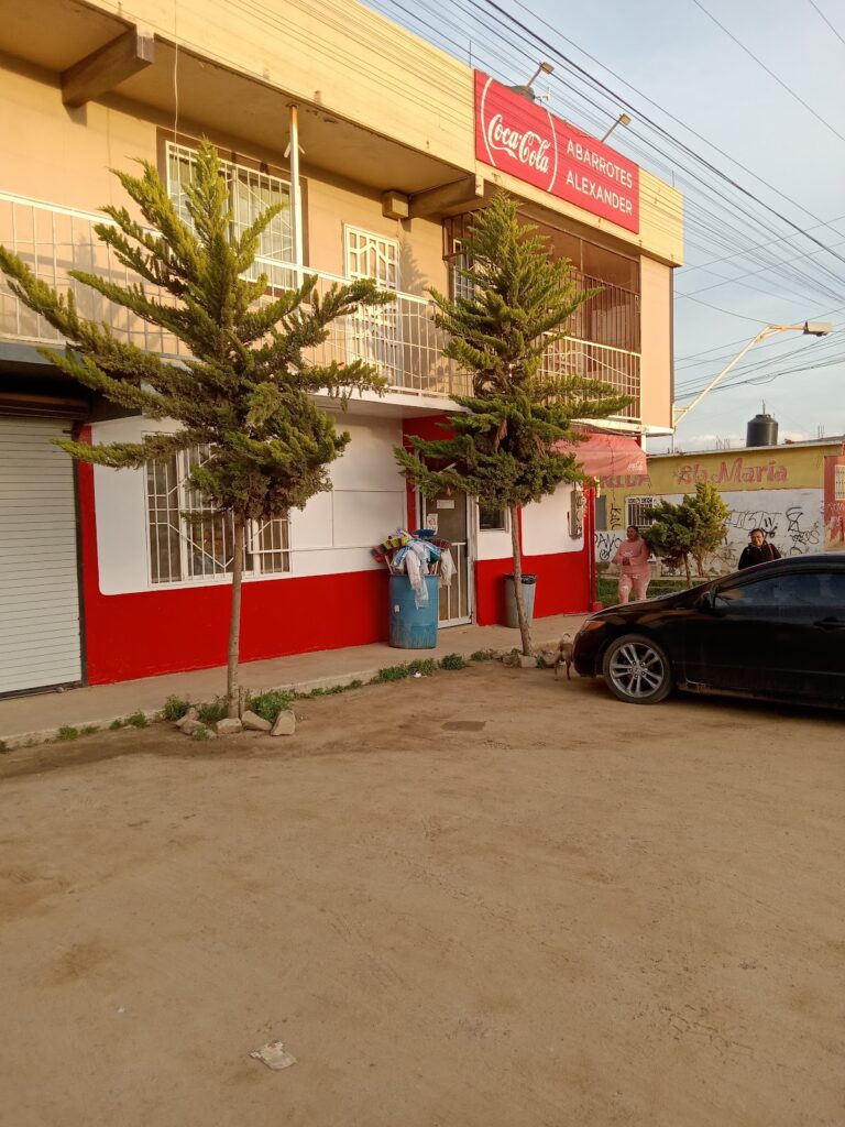 10555 ferretienda alexander 768x1024