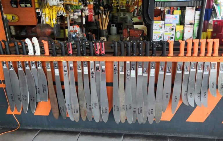 10676 la palmita 768x486