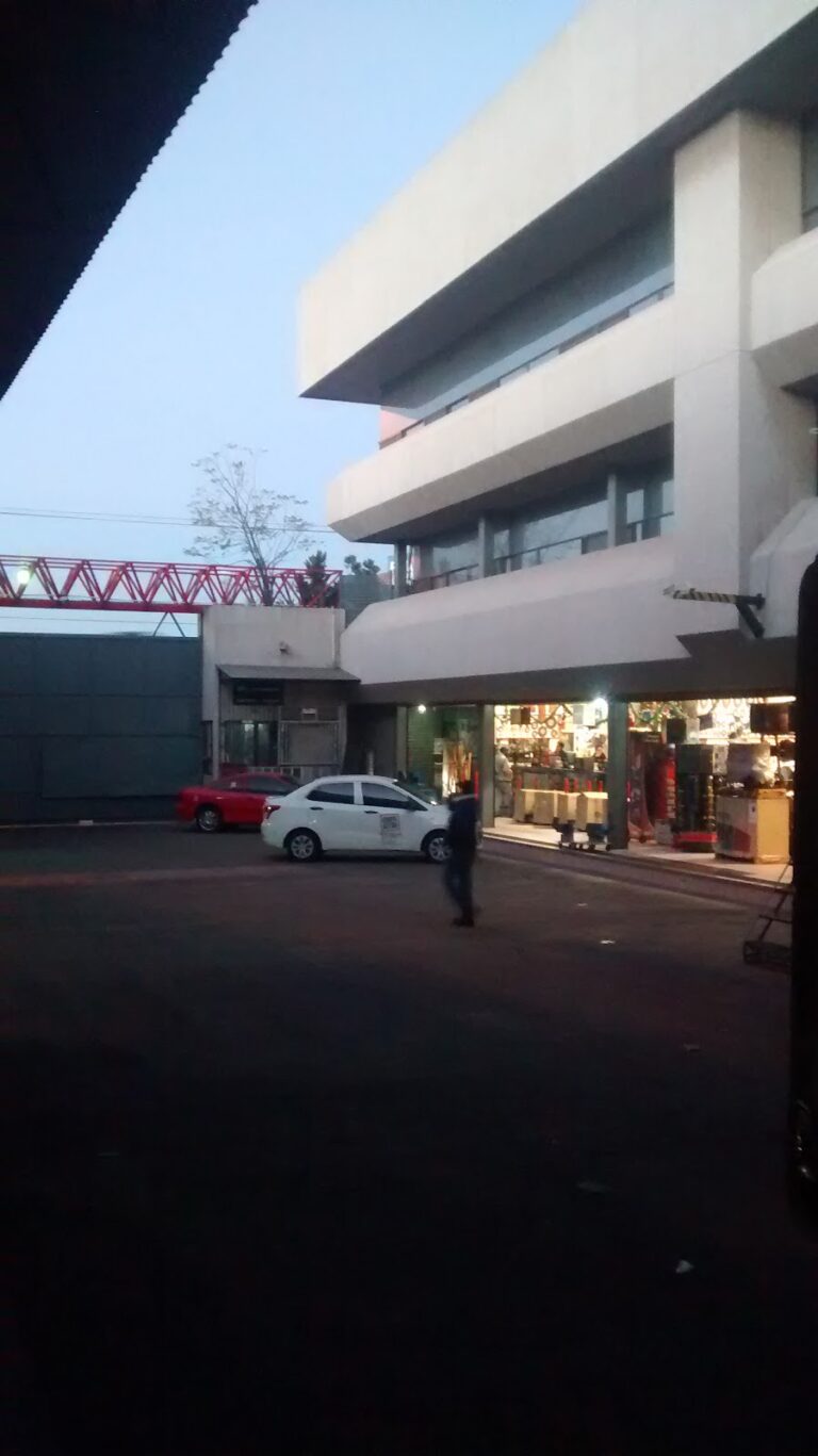 10698 ferreteria y aceros de celayagto g l 768x1367