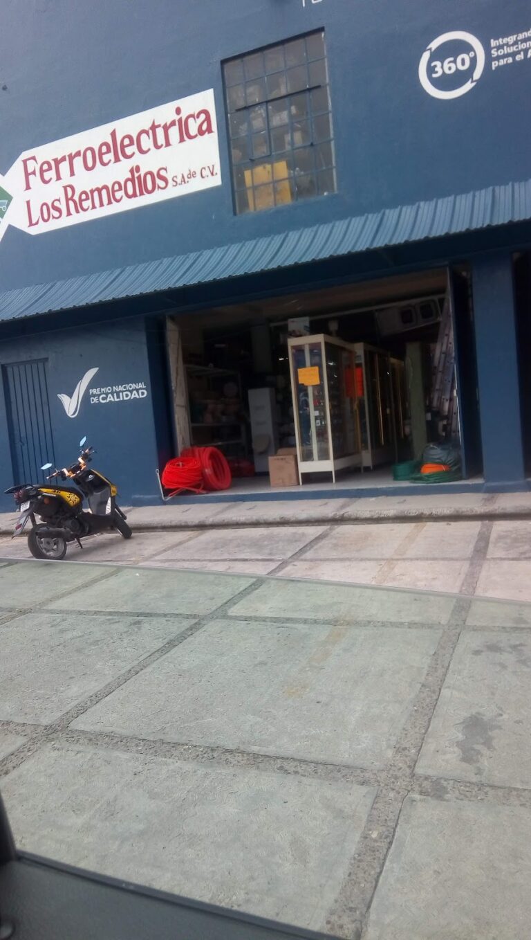 10876 ferroelectrica los remedios 768x1358