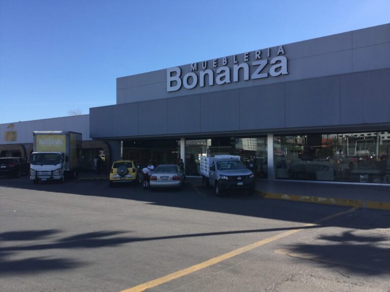 11016 muebleria bonanza sucursal rio 768x576