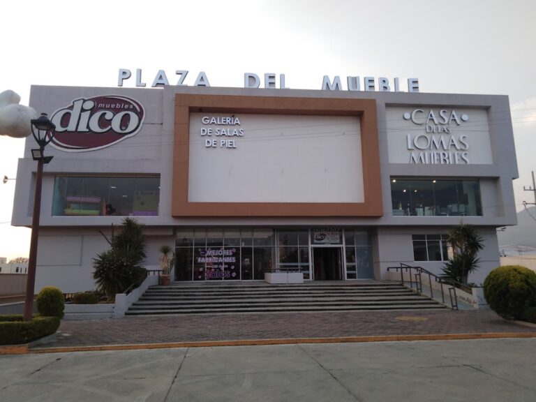 11195 muebles dico plaza del mueble pachuca 768x576