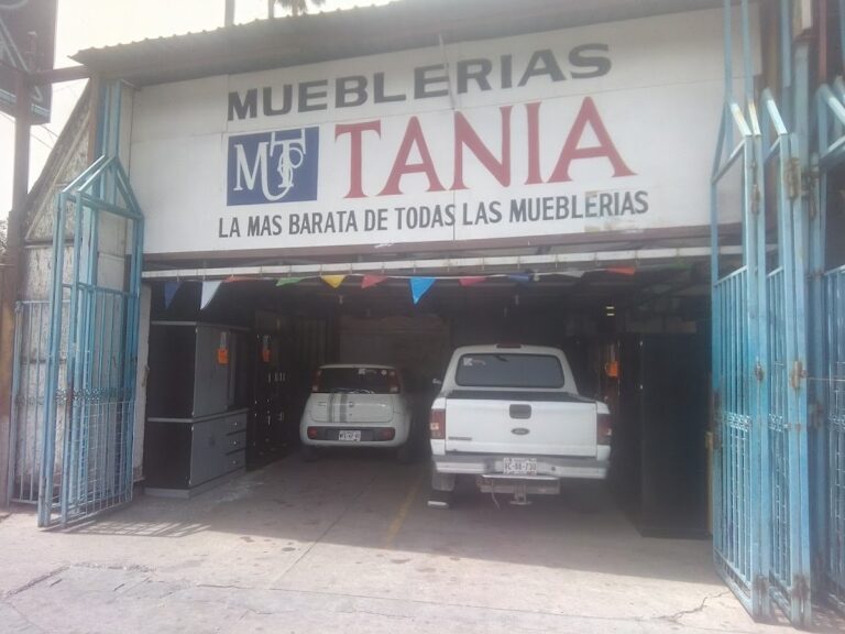 11449 muebleria tania 768x576