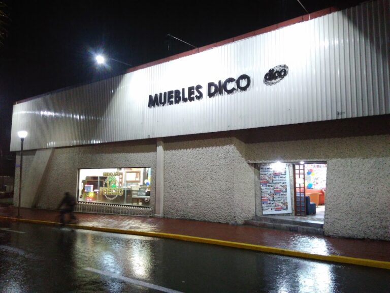 11495 muebles dico orizaba 768x576