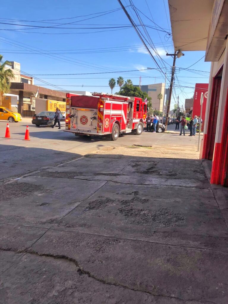 11622 raga electronica 768x1024