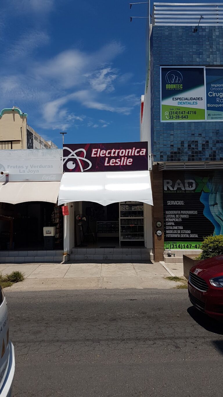 11640 electronica leslie 768x1365