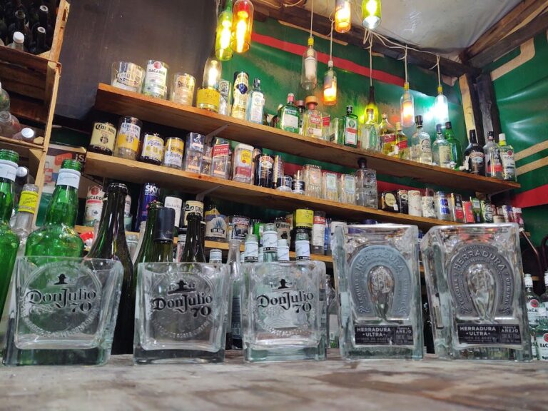 11684 el rincon de la tecnologia celaya 768x576