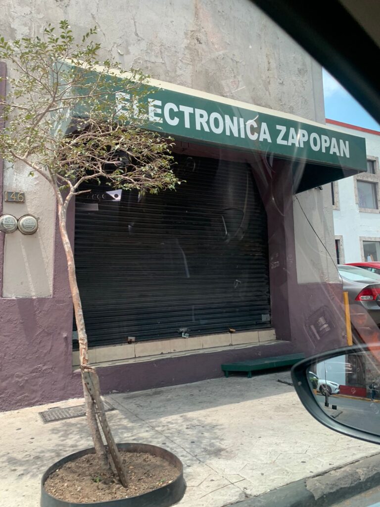 11710 electronica zapopan 768x1024