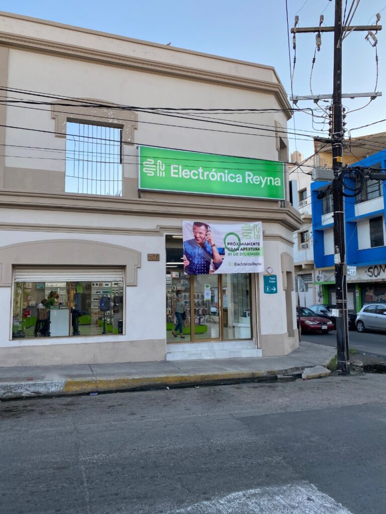 11932 er electronica reyna 768x1024